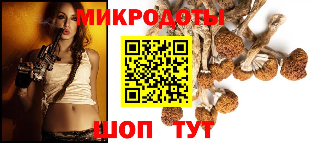 Псилоцибиновые грибы Psilocybe Самара